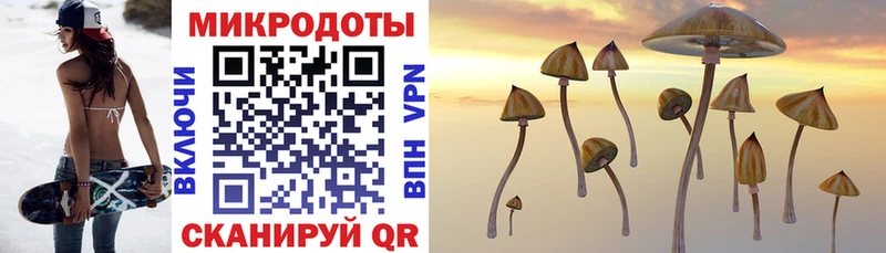 где купить наркоту  Шарыпово  Псилоцибиновые грибы MAGIC MUSHROOMS 